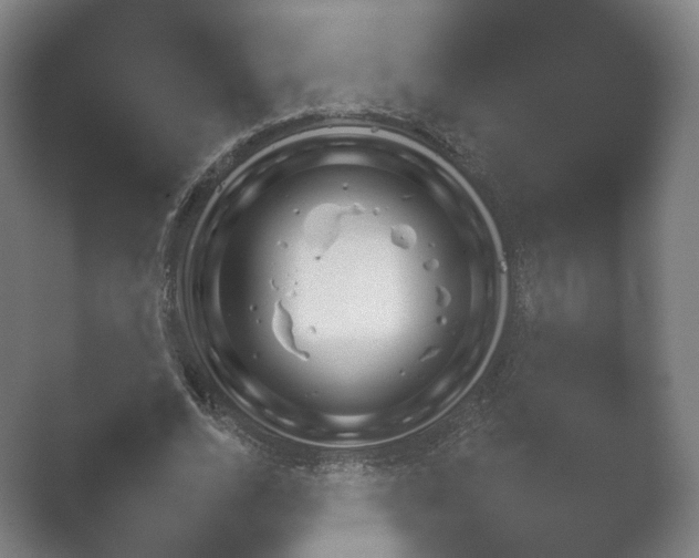X0000052280728200507132028.png