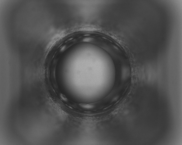 X0000040040296200410070852.png