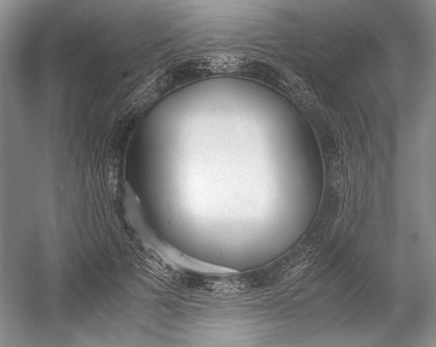 X0000055060697200508161646.png