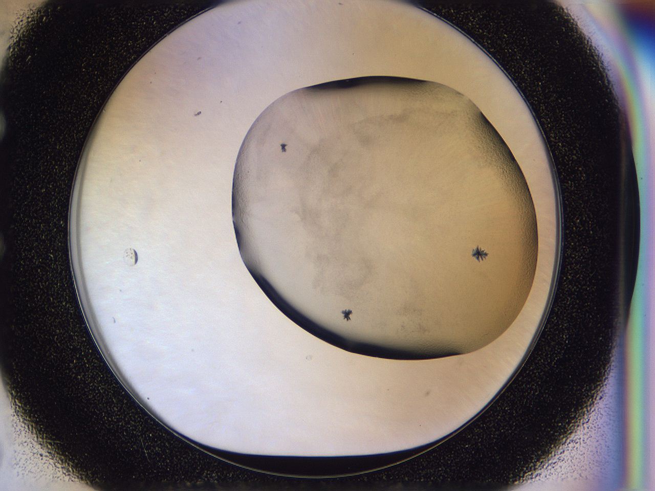 056p_E7_ImagerDefaults_6.jpg