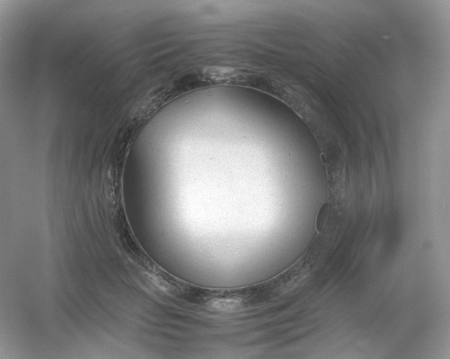 X0000054330653200508111920.png