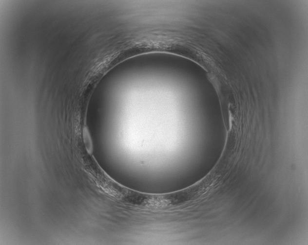 X0000055060403200508161651.png