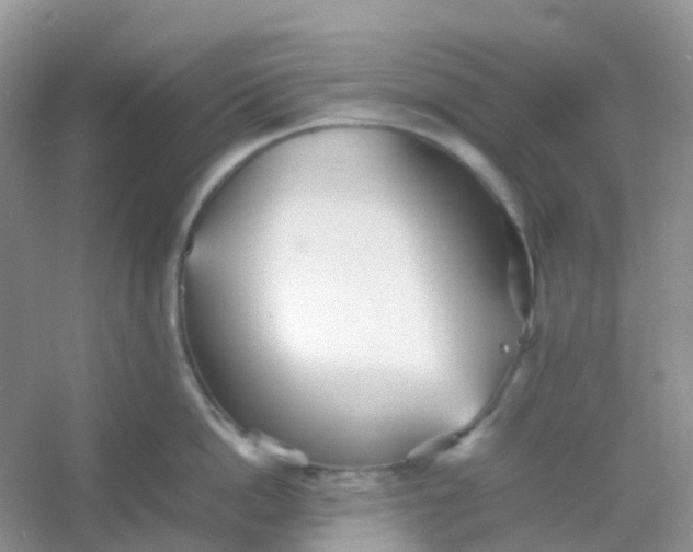 X0000054330862200508111917.png