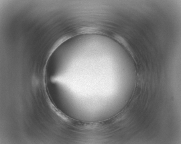X0000054331386200508111907.png