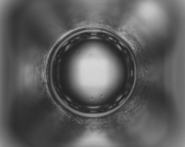 X0000044400959200412290428.png