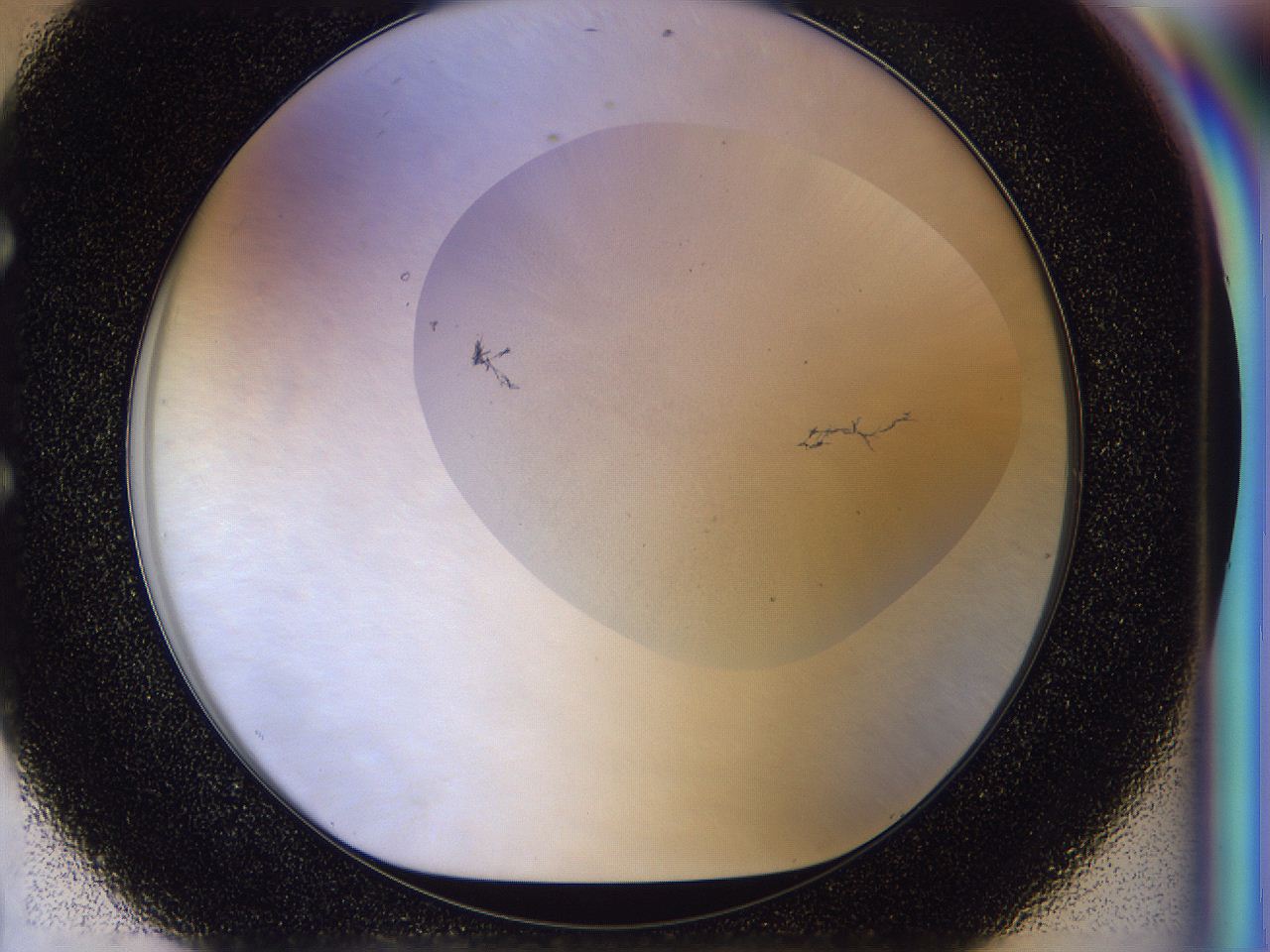 056p_E8_ImagerDefaults_1.jpg