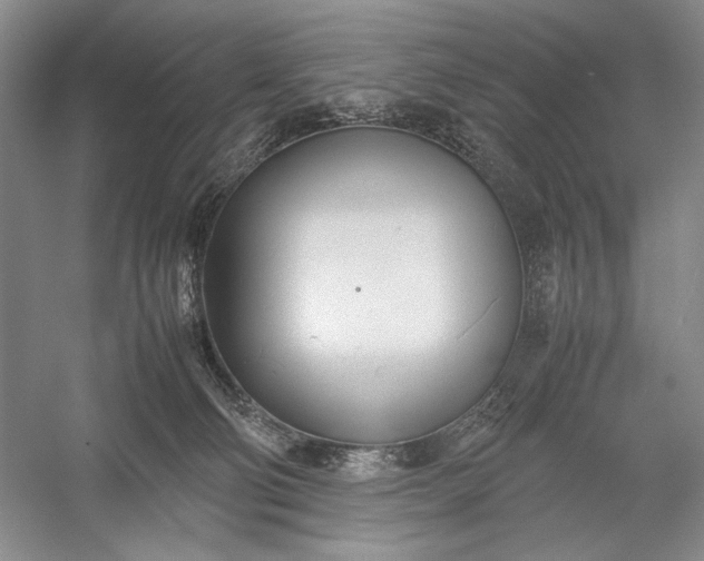 X0000055060130200508161655.png