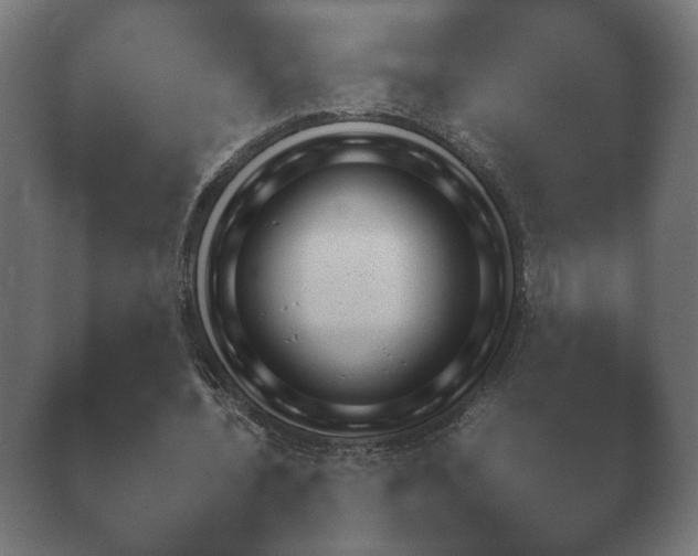 X0000038850532200410131830.png