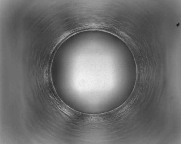 X0000055061170200508161638.png