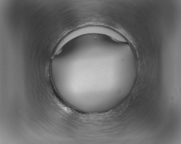 X0000055250009200509071627.png