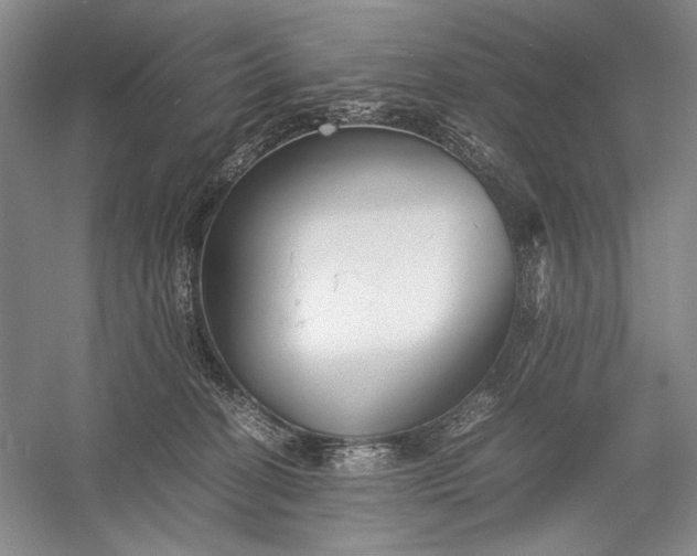 X0000055060274200508161653.png