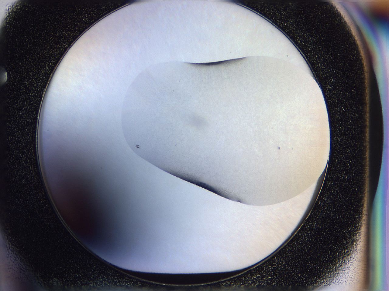056p_F4_ImagerDefaults_0.jpg