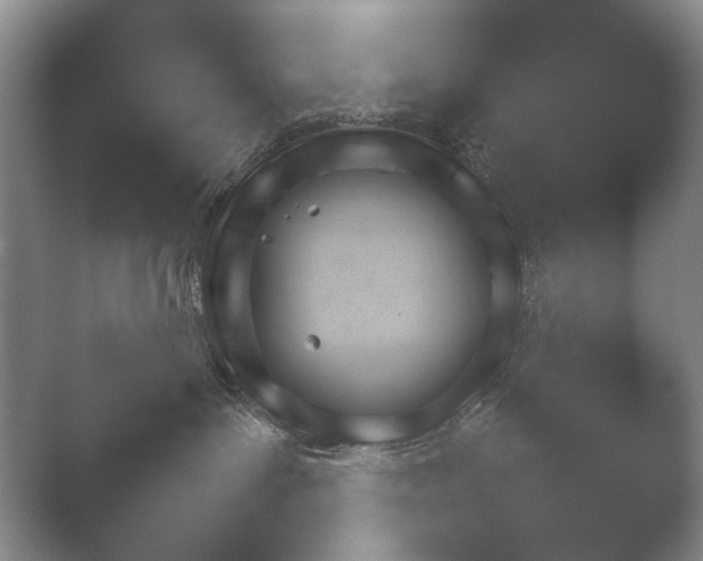 X0000052150143200507052001.png