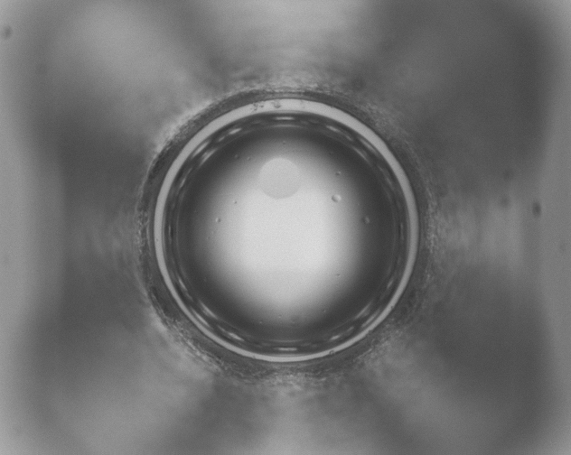 X0000052120536200507262054.png