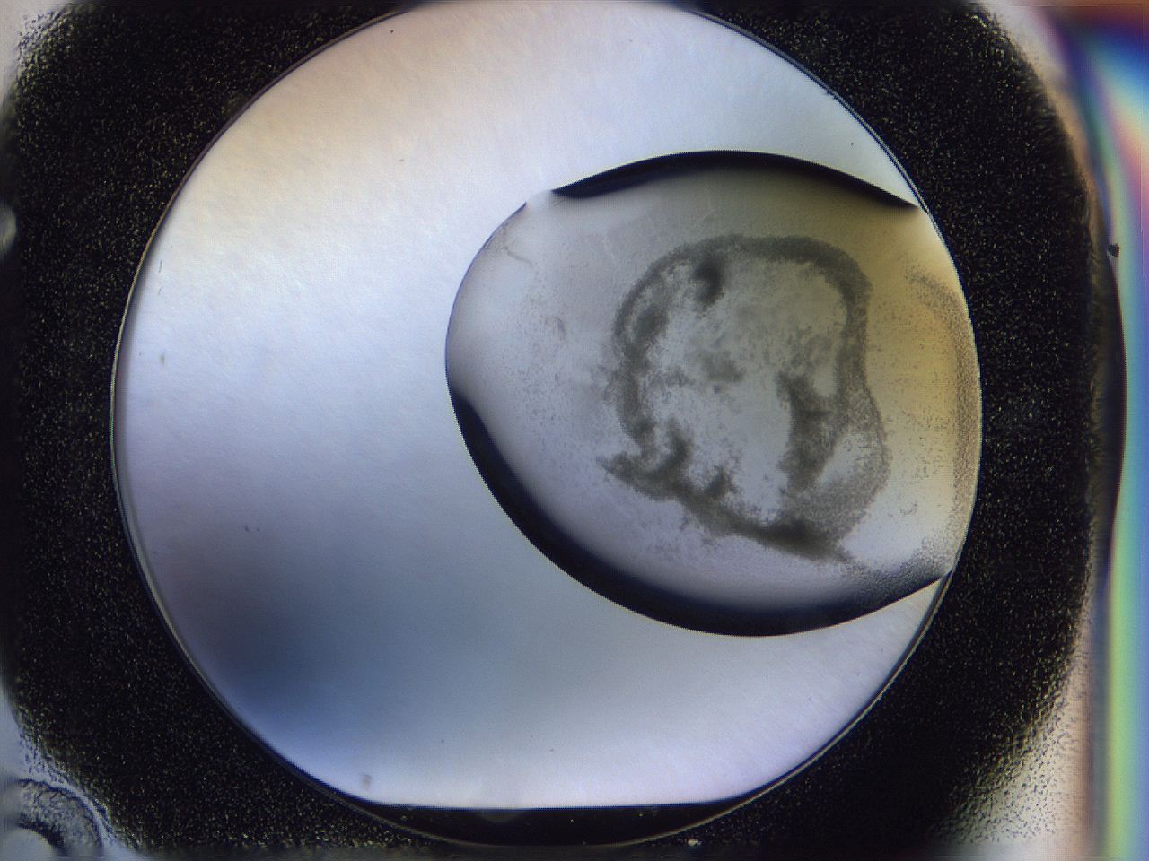 056p_F10_ImagerDefaults_3.jpg