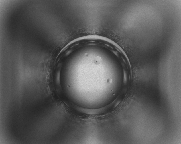 X0000044400080200412290442.png