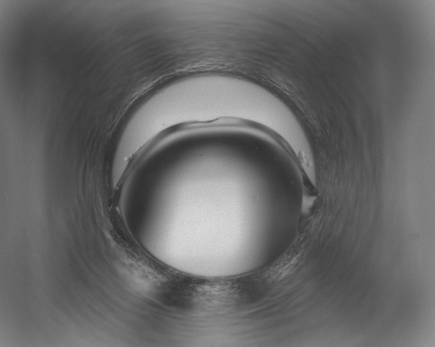 X0000055210164200508301331.png