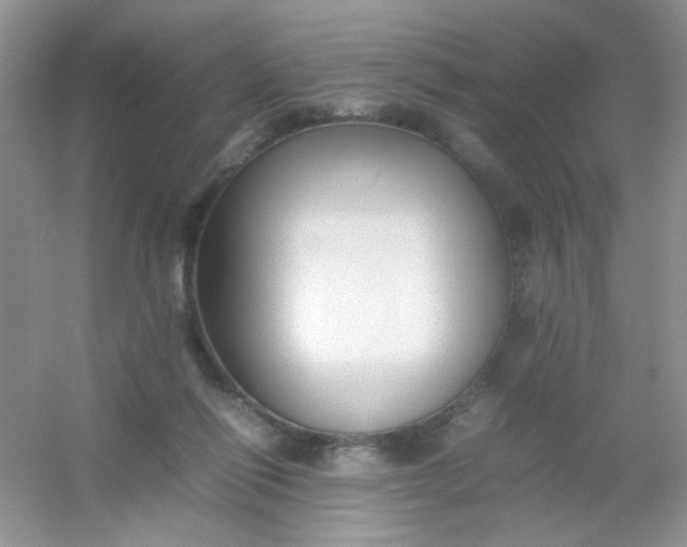 X0000054330262200508111927.png