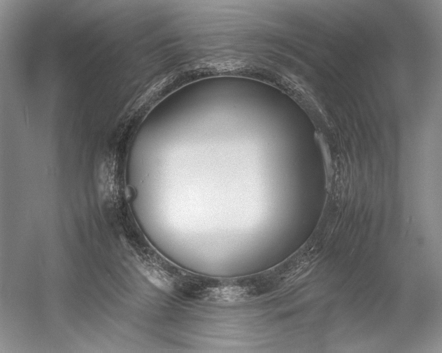 X0000055060212200508161654.png