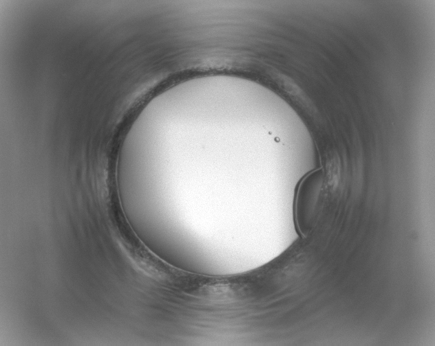 X0000054330588200508111921.png