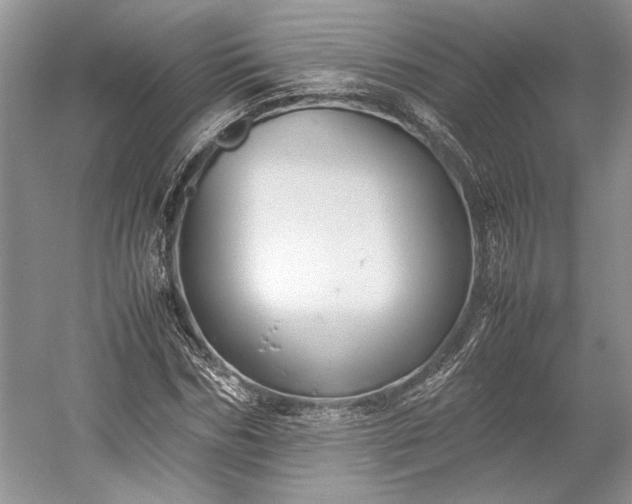X0000055060970200508161641.png