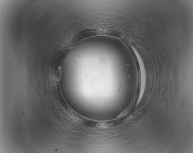 X0000055060613200508161647.png