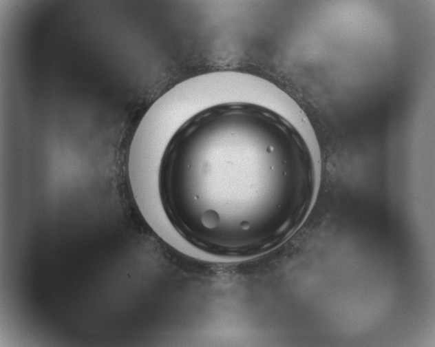 X0000044400601200412290433.png