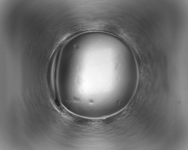 X0000055060107200508161656.png