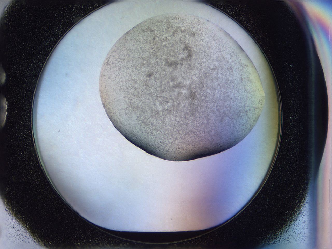 056p_G6_ImagerDefaults_3.jpg
