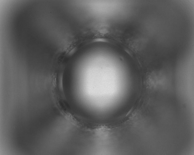 X0000054110468200508022104.png