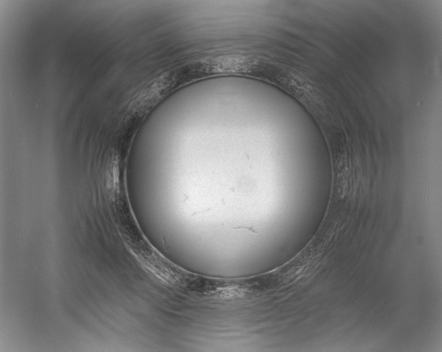 X0000055060310200508161652.png