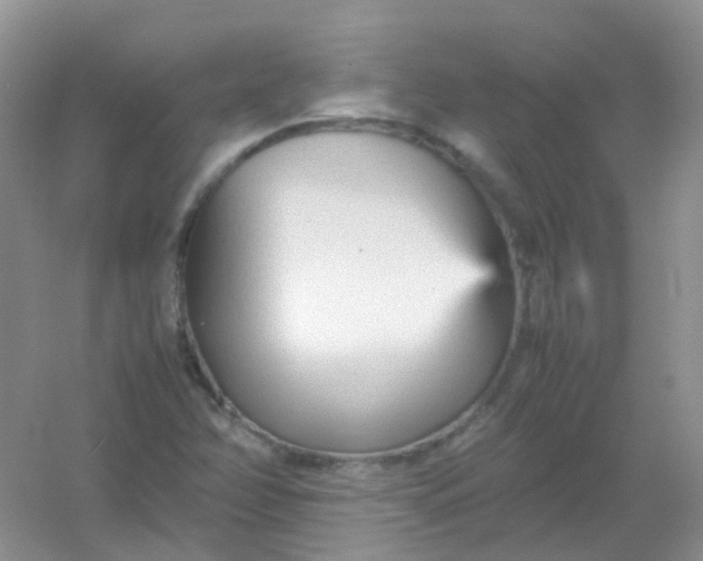 X0000054331358200508111908.png