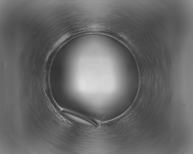 X0000055211410200508301310.png