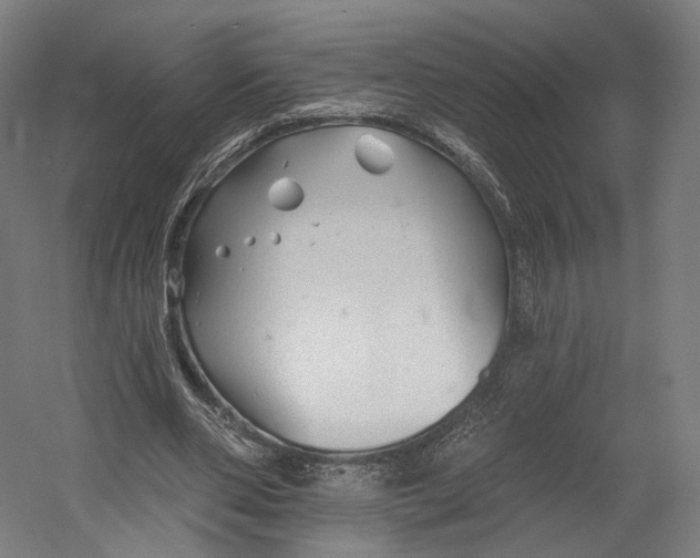 X0000055210486200508301326.png