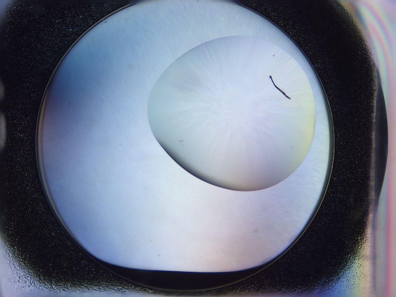 056p_G9_ImagerDefaults_1.jpg