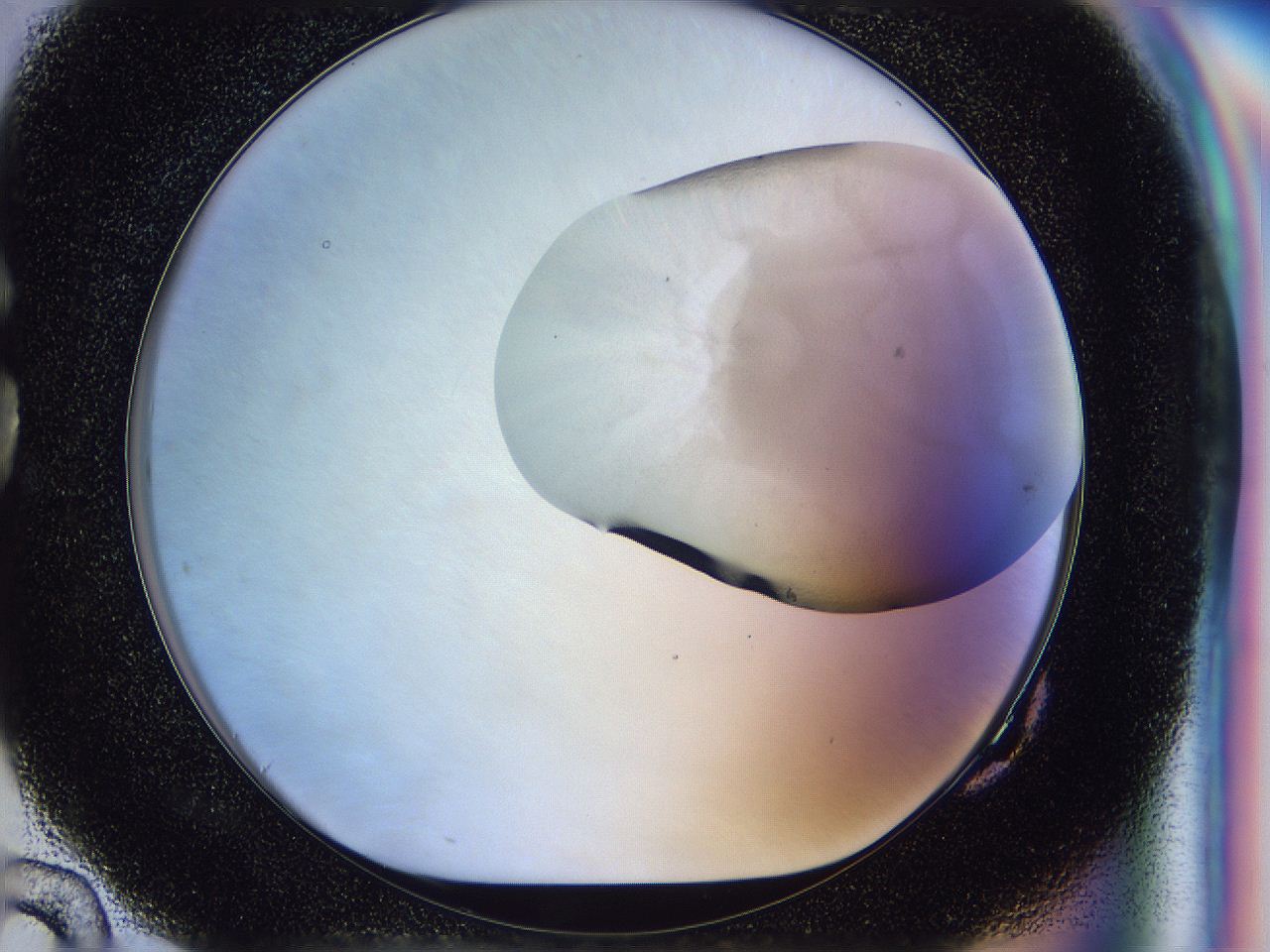 056p_G10_ImagerDefaults_2.jpg