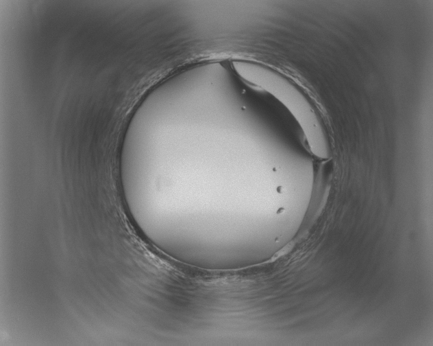 X0000055250385200509071621.png