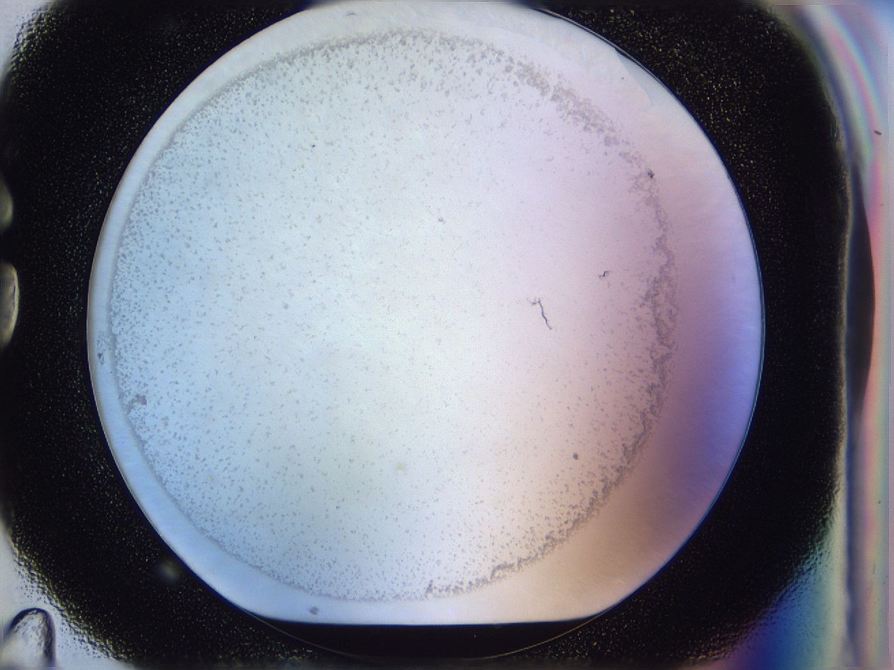 056p_G11_ImagerDefaults_2.jpg