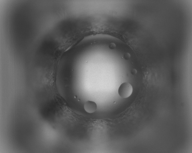X0000054931012200508291626.png