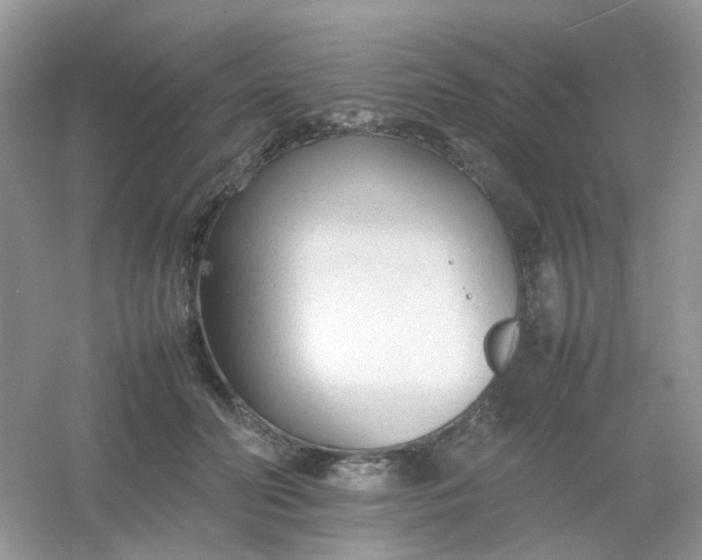 X0000054330606200508111921.png