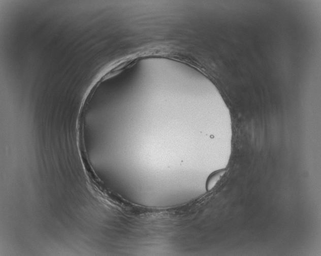 X0000055210100200508301332.png