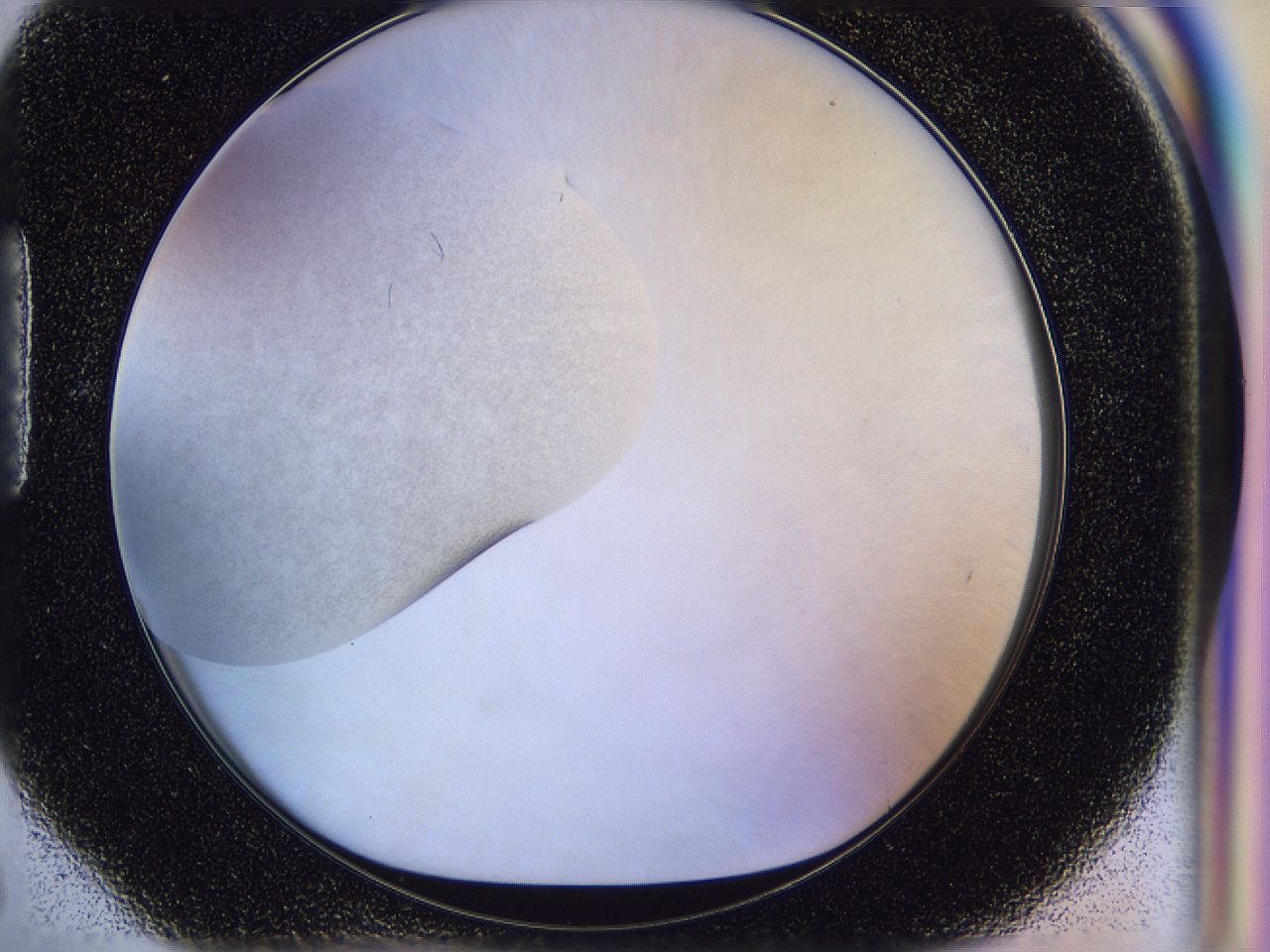056p_H6_ImagerDefaults_2.jpg