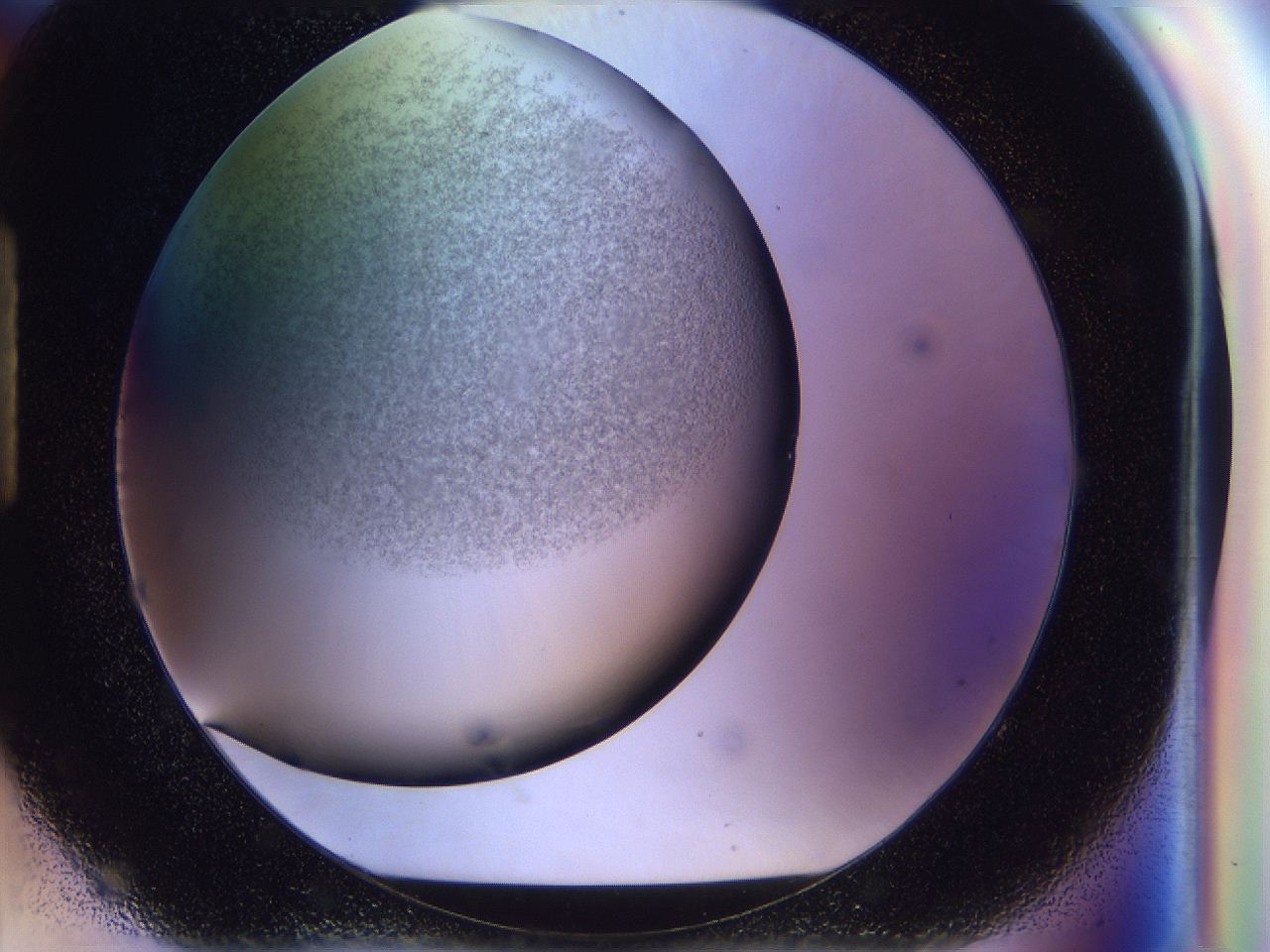 056p_H8_ImagerDefaults_2.jpg