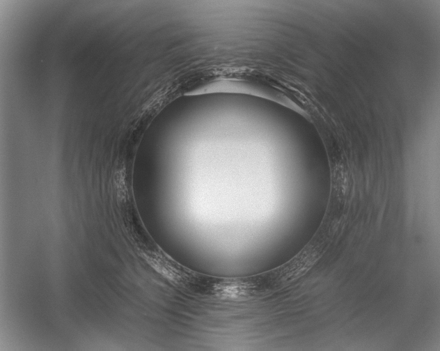 X0000055060564200508161648.png