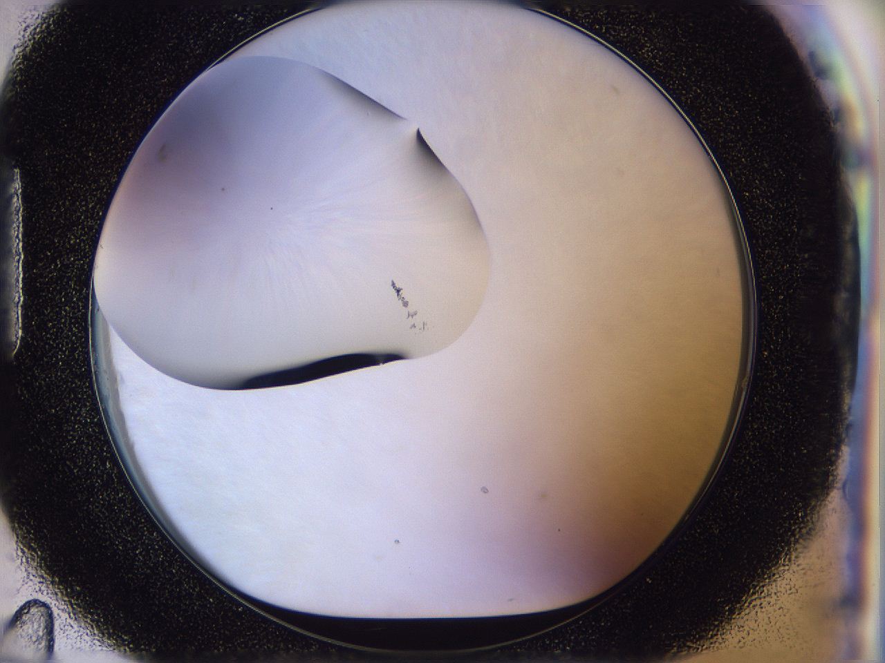 056p_H11_ImagerDefaults_1.jpg