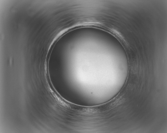 X0000055061420200508161634.png