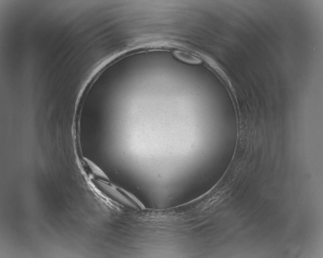X0000055210951200508301318.png