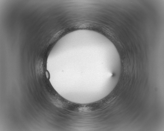 X0000054350216200508190137.png