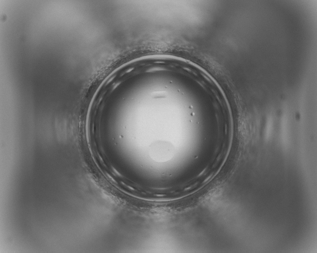 X0000052120493200507262055.png
