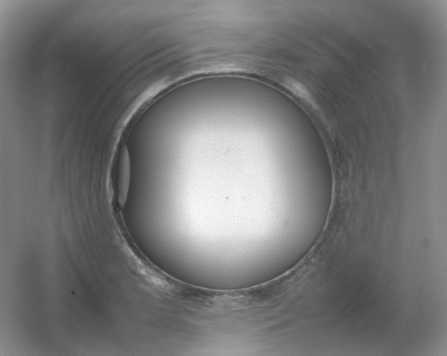X0000054331181200508111911.png